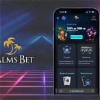 palms bet chat
